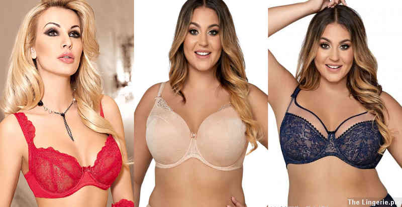Comfort and Support: How a Pregnancy Bra Differs from a Front Closure Bra