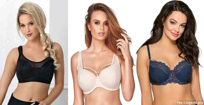 Considerations for Changing Body: Why a Pregnancy Bra Is Essential