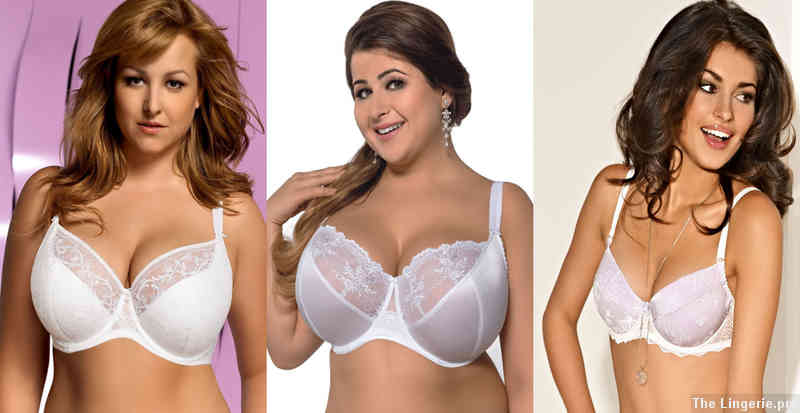 Different Ways to Customize Your Bra