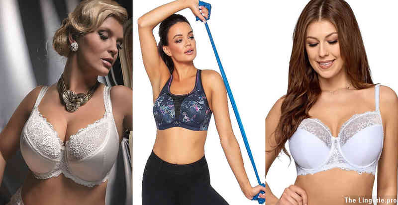Factors to Consider When Choosing a Front Closure Bra