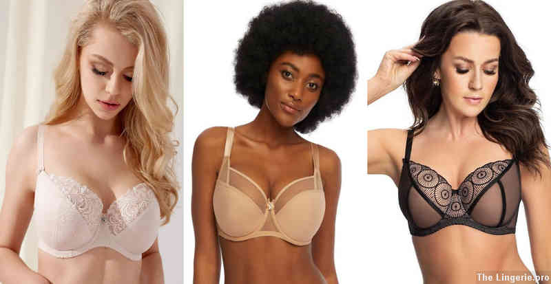What bra cup size is considered small?