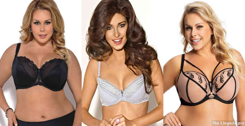 What comes after 36B in bra sizes?