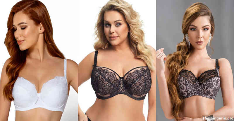 What does the term “34DD bra” mean?