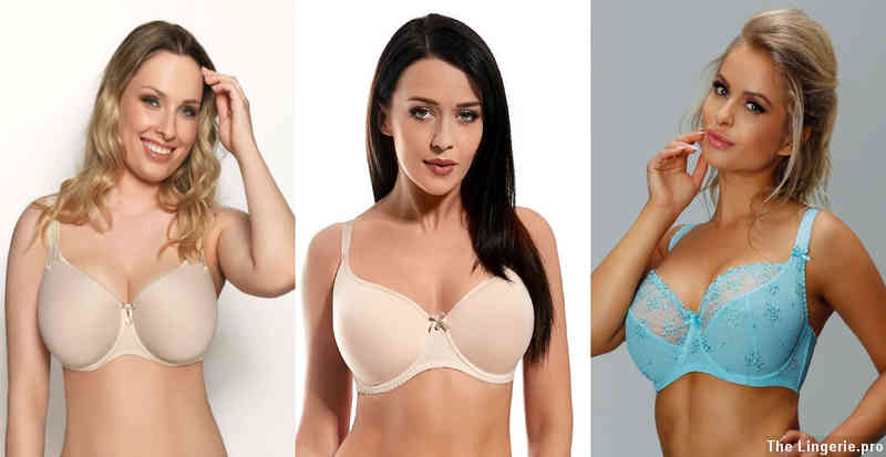 What is considered a medium bra size?
