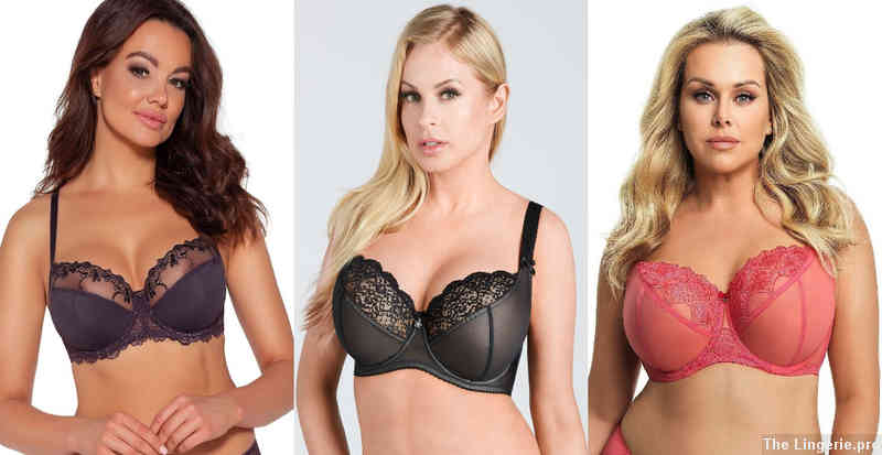 What is the 36/XL in bra size?