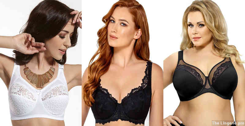 What is the bra size for 75D?