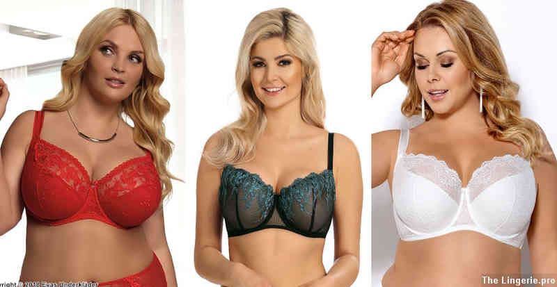 What is the equivalent of a 38D bra size in Europe?