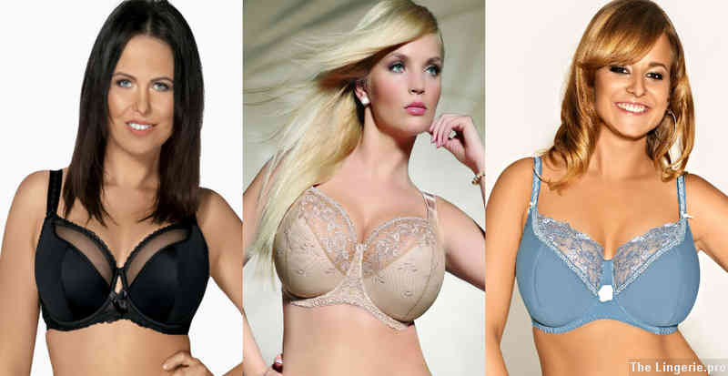What is the meaning of bra cup size?